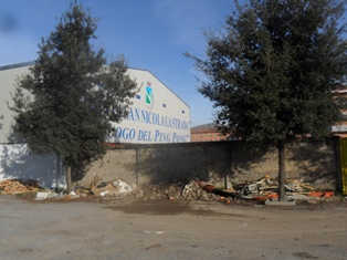 Il giudice sportivo alleggerisce le squalifiche in casa San Nicola