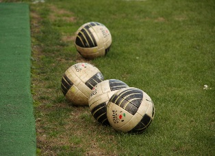 Lega Pro: riforma dei campionati il 31 Luglio, tra un mese i ripescaggi