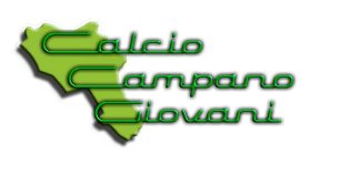Finalmente online www.calciocampanogiovani.com