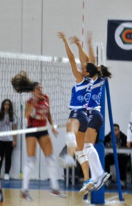 newvolley_10