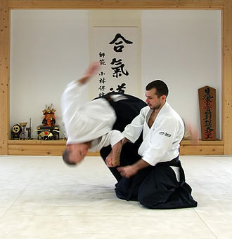 ‘L’Aikido nel terzo millennio’, domani il seminario alla Buonarroti