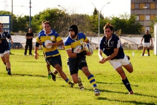 dellefeminevsalcottna