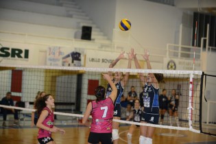 Le rosanero in azione