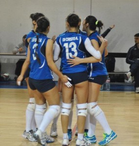 newvolley_ok