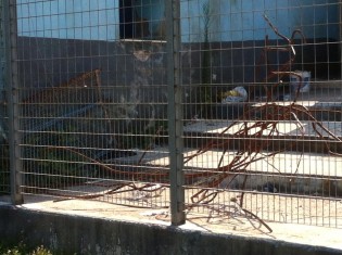 Campo "M. Piccirillo"