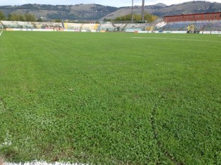 Il terreno di gioco del Pinto