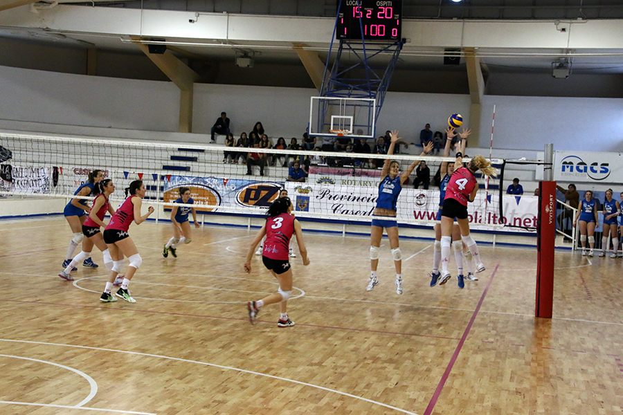 Volalto appagata, il Casal dei Pazzi viola il ‘Medaglie d’Oro’