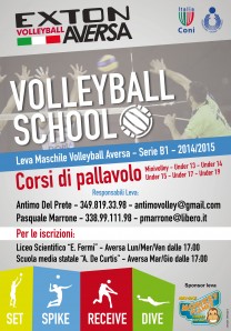 Brochure Volleyball School
