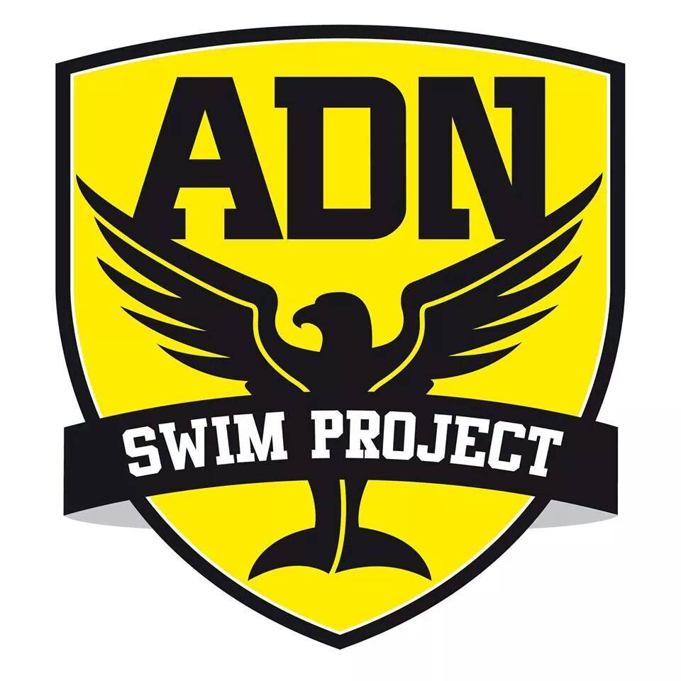 L’ADN alla volta di Fabriano