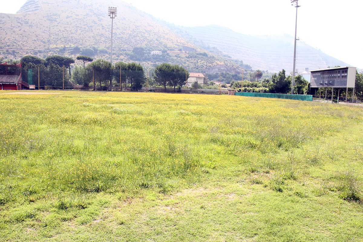 Stadio del baseball al collasso: Del Gaudio pronto a risolvere il problema, ma la politica frena