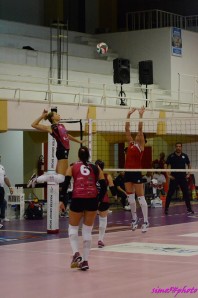 Le rosanero in azione