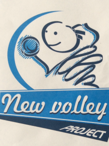 logonewvolleyproject