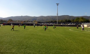 10670169_731877363534222_7850575039704765894_n