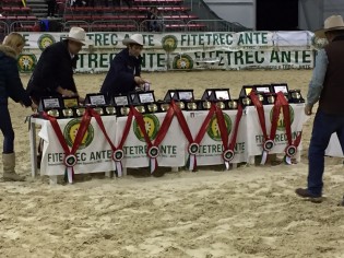 SISTEMAZIONE COCCARDE