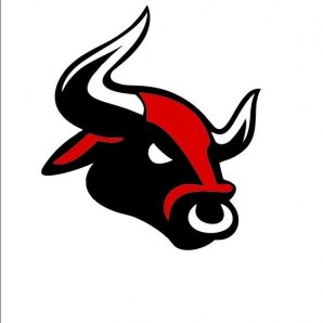 Bulls