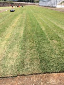 13241402_10208544164355172_9170581367693299346_n