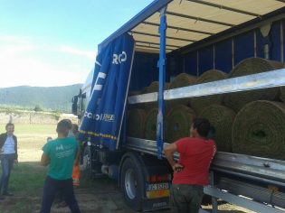 13260091_10208538194765936_5601290319094595241_n