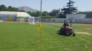 Il Pinto durante la tosatura dell'erba