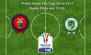 tim cup