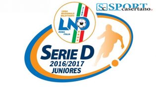 serie-d-logo-juniores