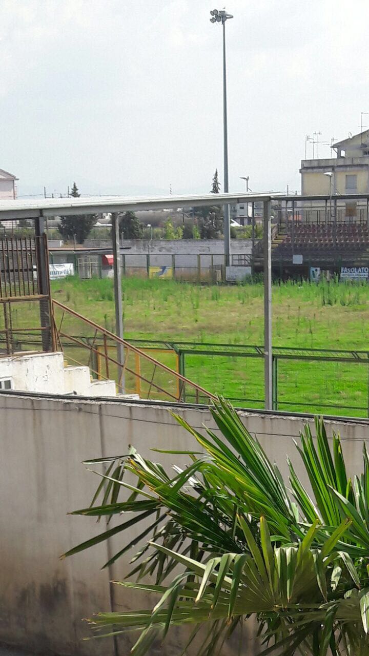 Un'immagine delle condizioni del 'Bisceglia'