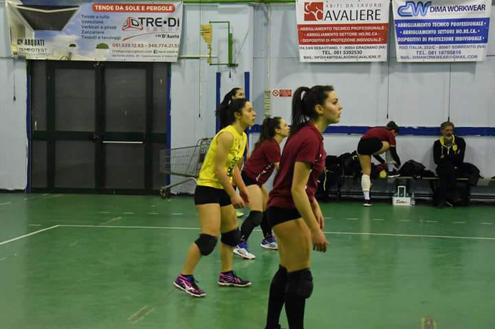 Gradito ritorno in casa Alp Volley: Narducci in panchina, Sposito primo rinforzo