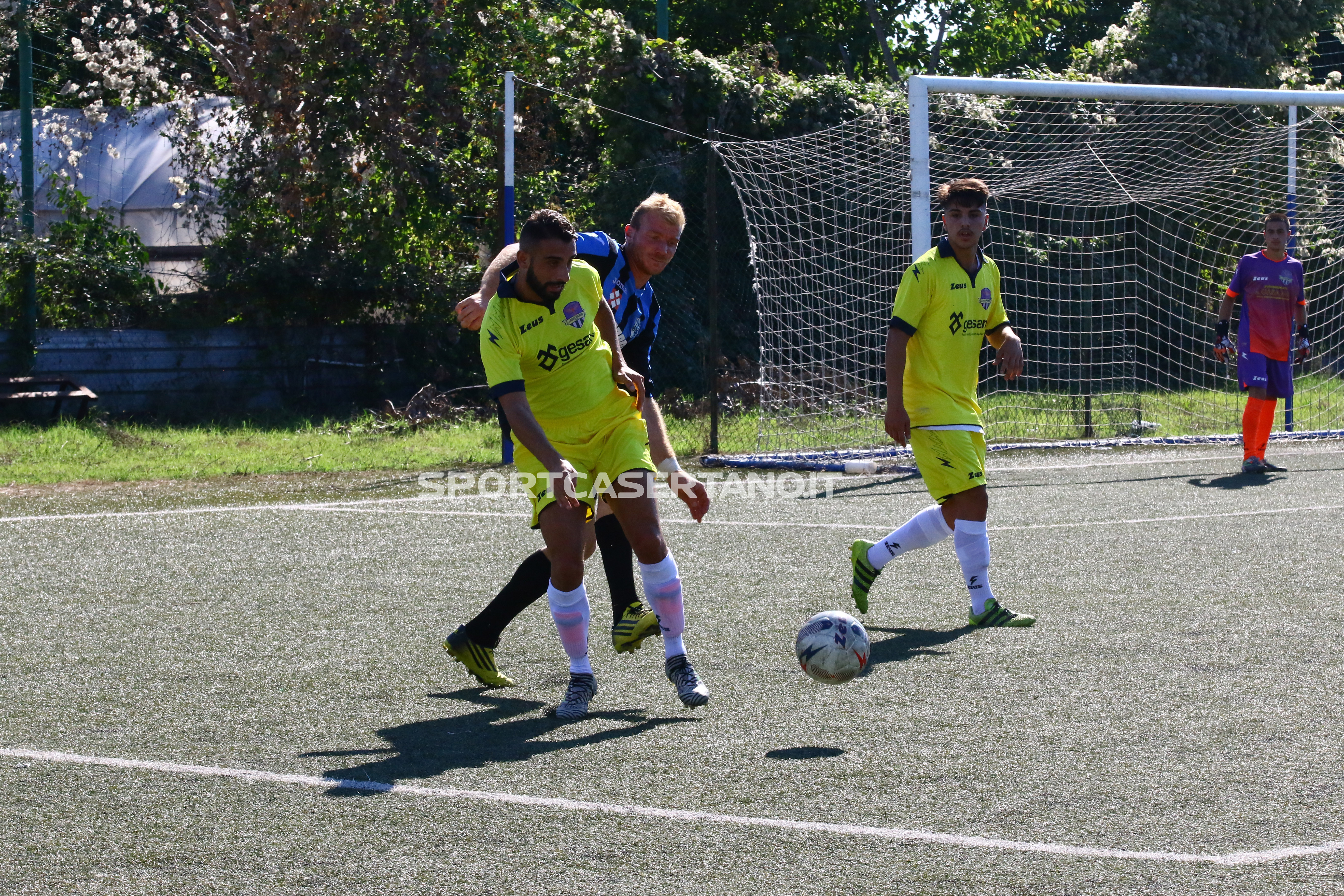 LE AQUILE ROSANERO RIALZANO LA TESTA! Piegata la Summa Rionale Trieste nello scontro salvezza