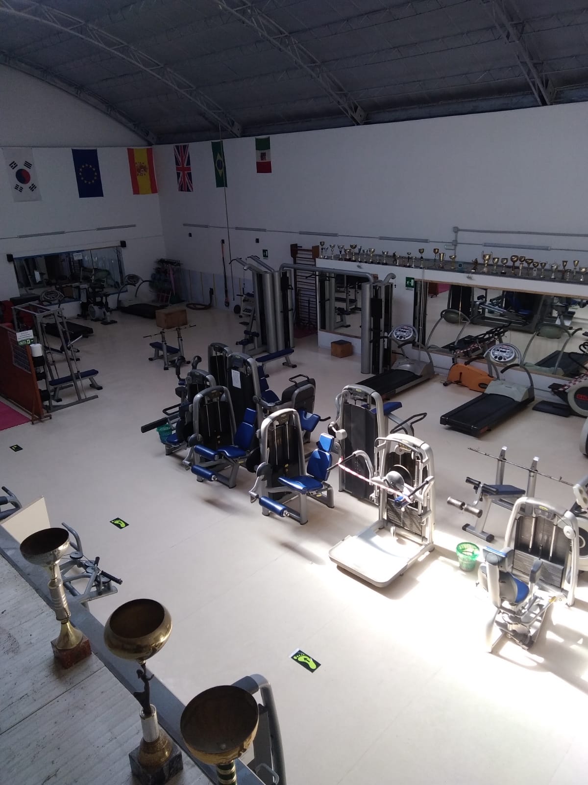 La ASD Focus riapre le porte a tutti gli sportivi in piena sicurezza a Marcianise in Via Allende