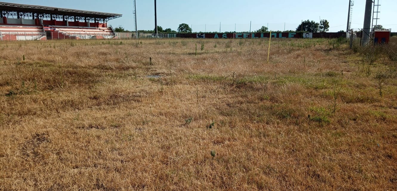 LA DENUNCIA DEL CELLOLE. “Il Montecuollo è in uno stato di abbandono”