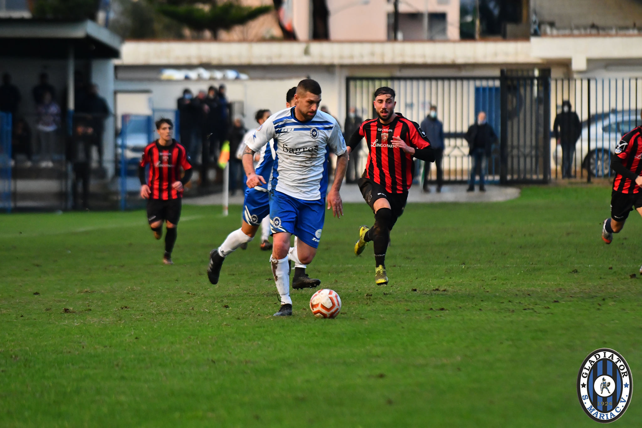 MURAVERA-GLADIATOR, PROBABILI FORMAZIONI. Dubbi in attacco per Santonastaso; Loi recupera due pedine preziose