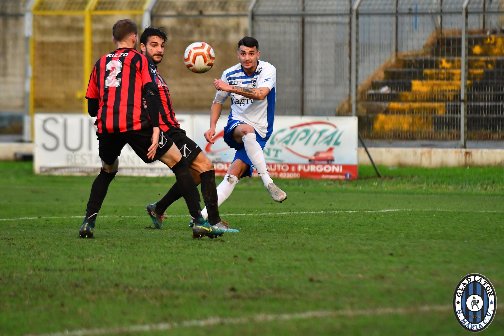 GLADIATOR, NUOVA OPZIONE IN ATTACCO. Tante soluzioni in avanti per la sfida col Monterosi