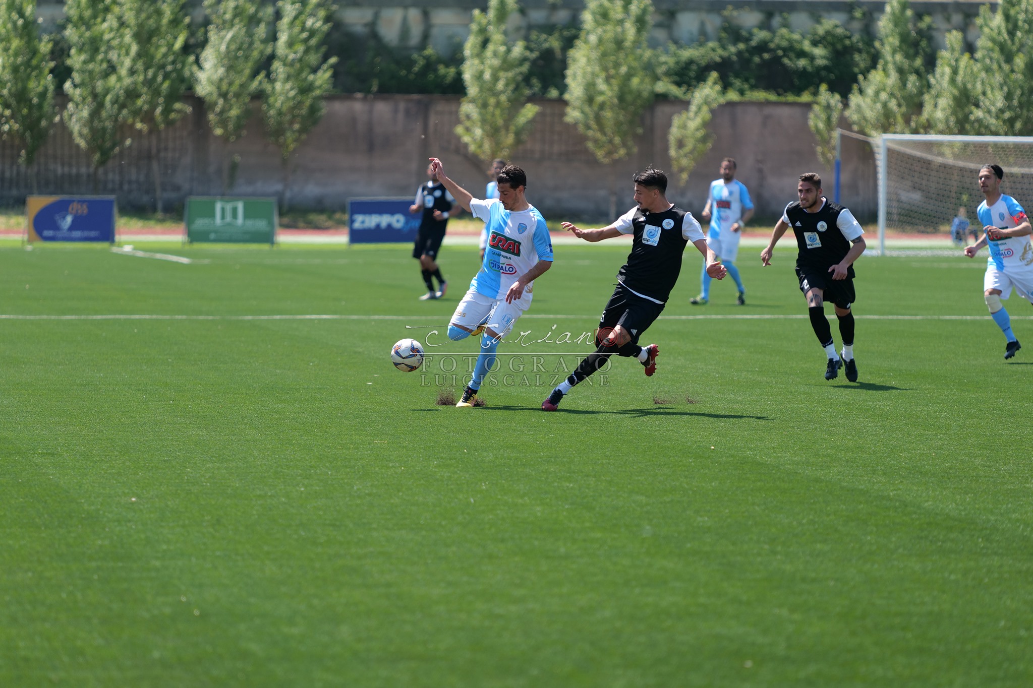 ALBANOVA, ECCO IL MOTIVO DEL PREANNUNCIO. Ma la Nuova Napoli Nord non invia in tempo il ricorso, biancoazzurri con le spalle coperte