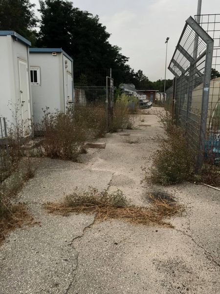 IL “COMUNALE” DI CARINOLA AVVOLTO DALL’INCURIA. Il ds Caputo: “Così non si favorisce lo sport”