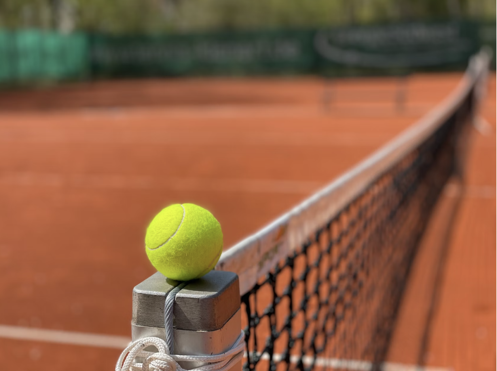 Roland Garros 2022: chi sono le rivali di Iga Swiatek?