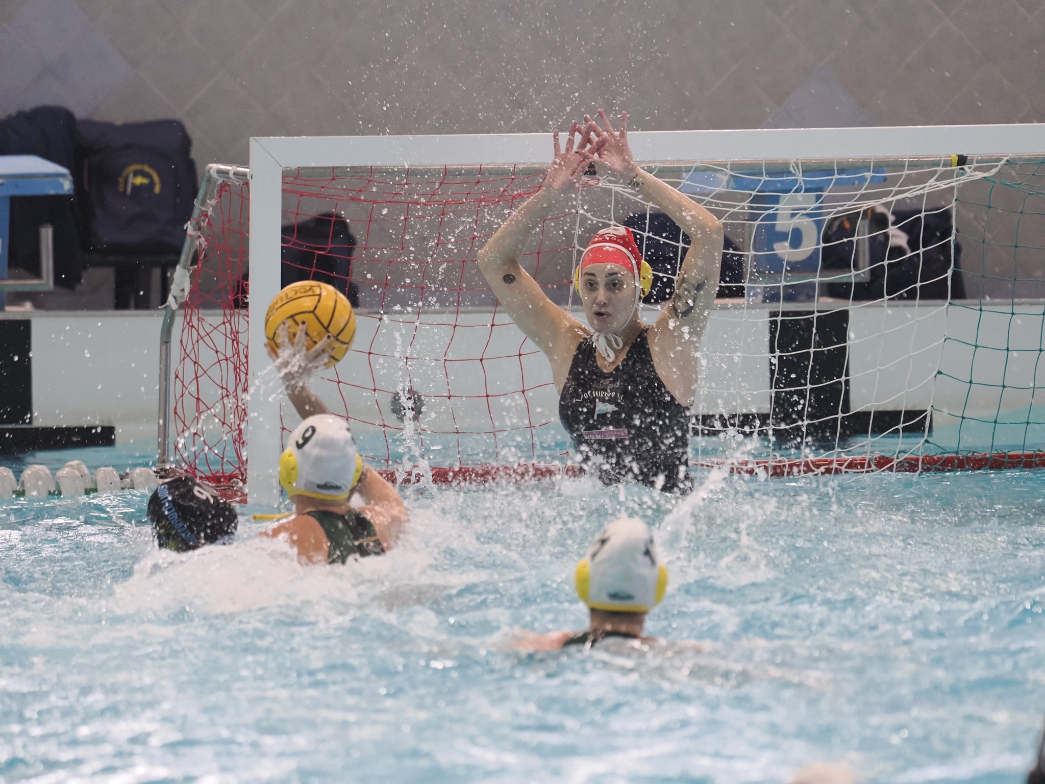DEBUTTO SENZA IL CAPITANO. Il Volturno ci prova ed esce a testa alta dal derby con la Waterpolo Lions. La fotogallery dell’incontro