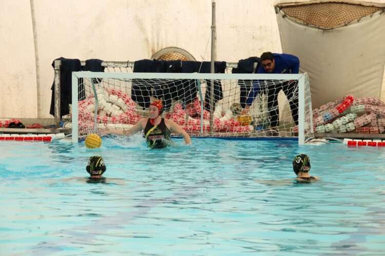 Le gialloverdi in azione